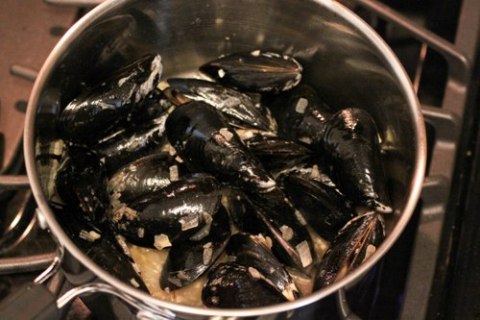 Steamed Mussels in White Wine Sauce  cooking planit review