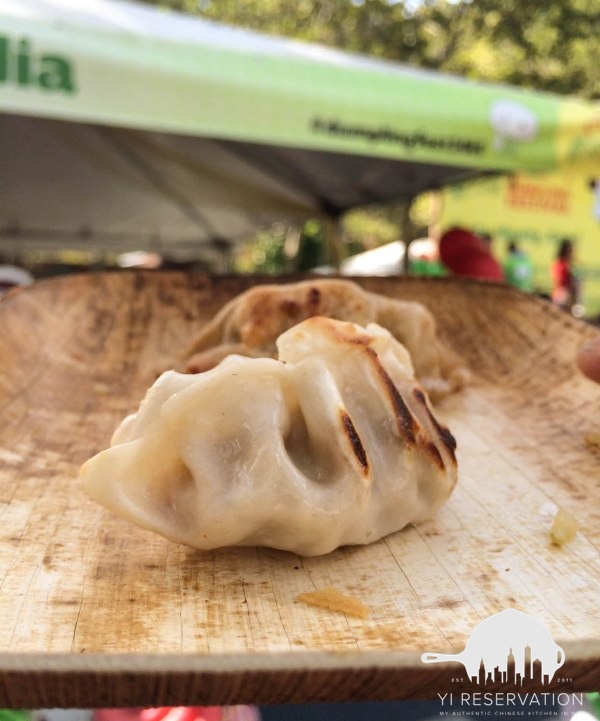 Dumpling Festival NYC 2015