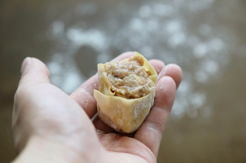 Combine the seasoning ingredients with all the chopped meat in a large mixing bowl and mix with a spatula until the mixture turns smooth.Shumai/Siu Mai Recipe