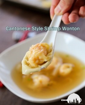 Cantonese Style Shrimp Wonton 蝦雲吞