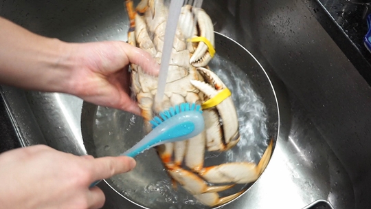 cantonese steamed crab over glutinous (sticky) rice