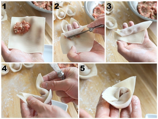 How To Fold Wontons (6 easy and fun ways)